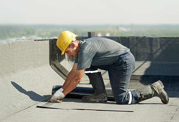 Best DIY Insulation Kits and Guidance in Sarand, AL